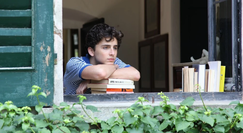 Mejores películas de Timothée Chalamet