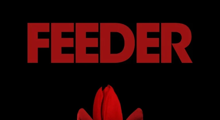 feeder